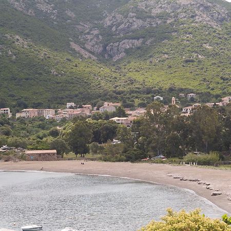 Ideal Camping Hotel Stagnolo 加莱里亚 外观 照片